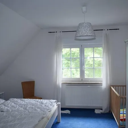 Eichhoernchen Am Fleesensee *