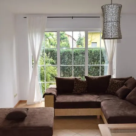 Eichhoernchen Am Fleesensee