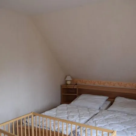 Eichhoernchen Am Fleesensee *