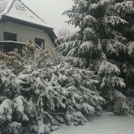 Vakantiehuis Eichhoernchen Am Fleesensee