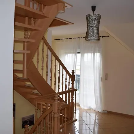 Eichhoernchen Am Fleesensee Göhren-Lebbin