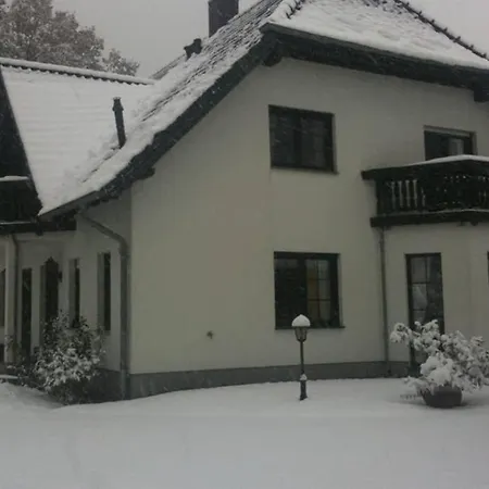 Eichhoernchen Am Fleesensee * Göhren-Lebbin