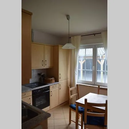 Eichhoernchen Am Fleesensee * Göhren-Lebbin