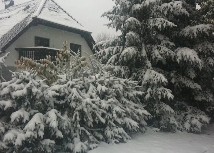 Casa vacanze Eichhoernchen Am Fleesensee