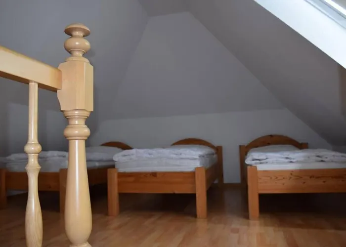 Eichhoernchen Am Fleesensee * Göhren-Lebbin