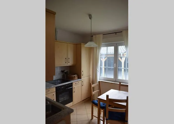 Eichhoernchen Am Fleesensee * Göhren-Lebbin